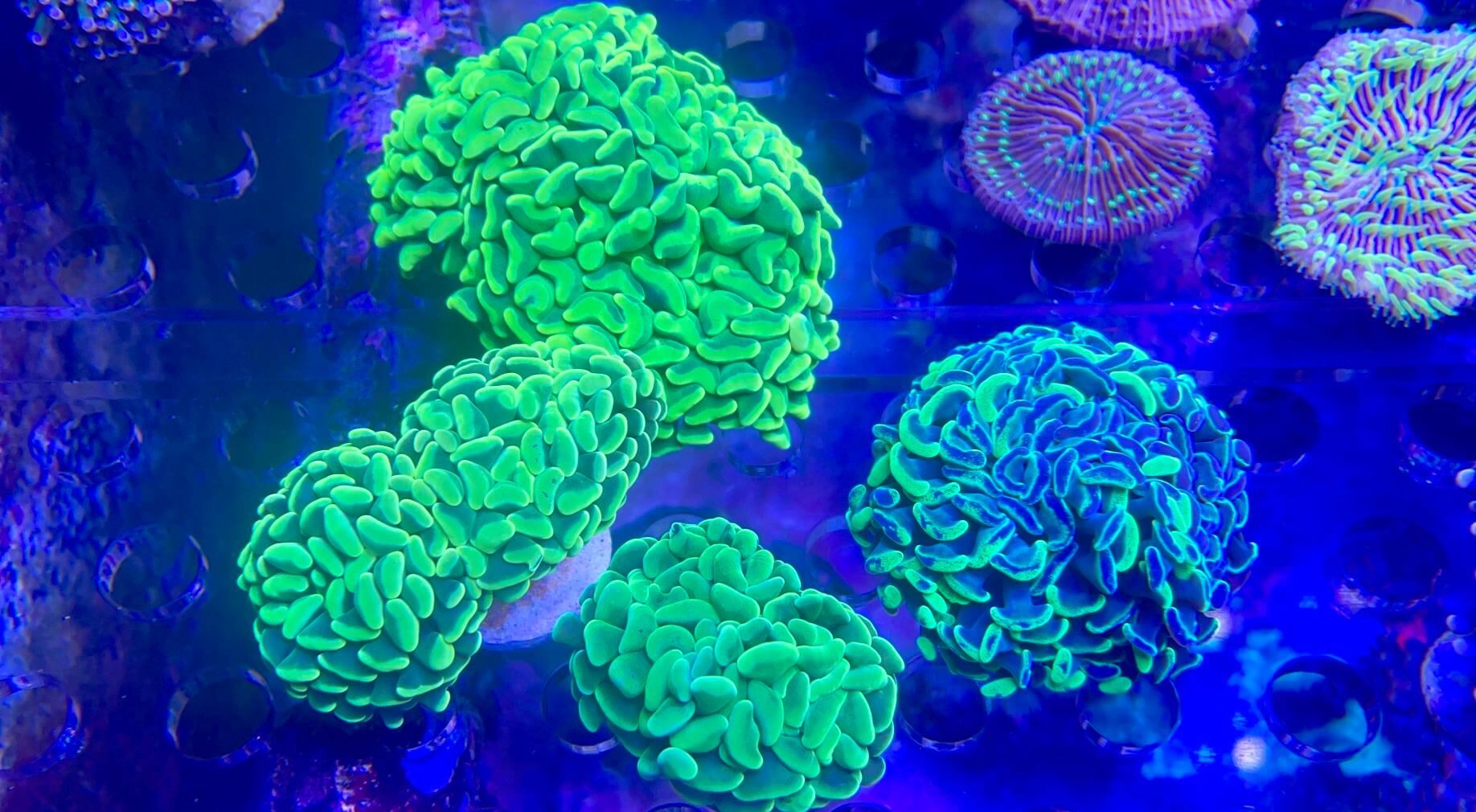 467675321_1083387880128737_6189387994935818236_n