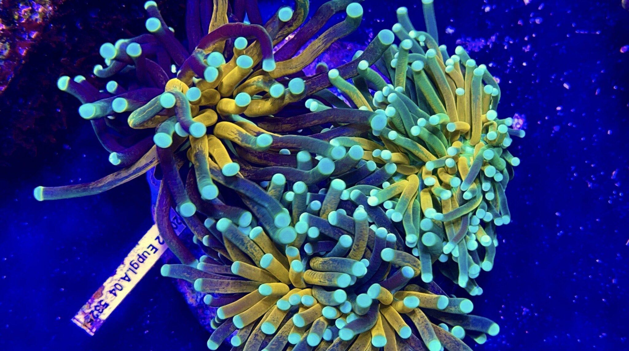 485998178_1212118710914601_7226203364606723286_n