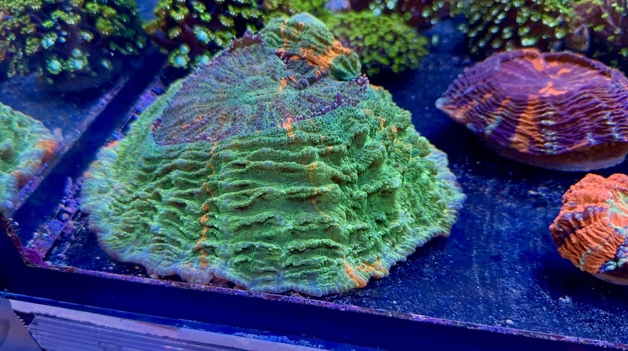 486949966_1218728760253596_4761557514348900409_n